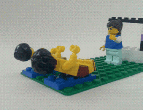 Political LEGO-ing